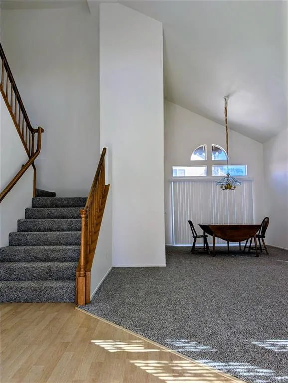 24054 Bearskin — photograph 4 of 12